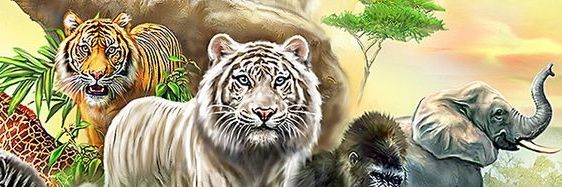 Nature is Stunning 🌿 banner