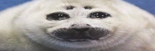 m2ovii Profile Banner