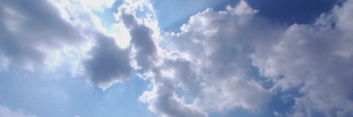 Shreya_0318's profile banner image