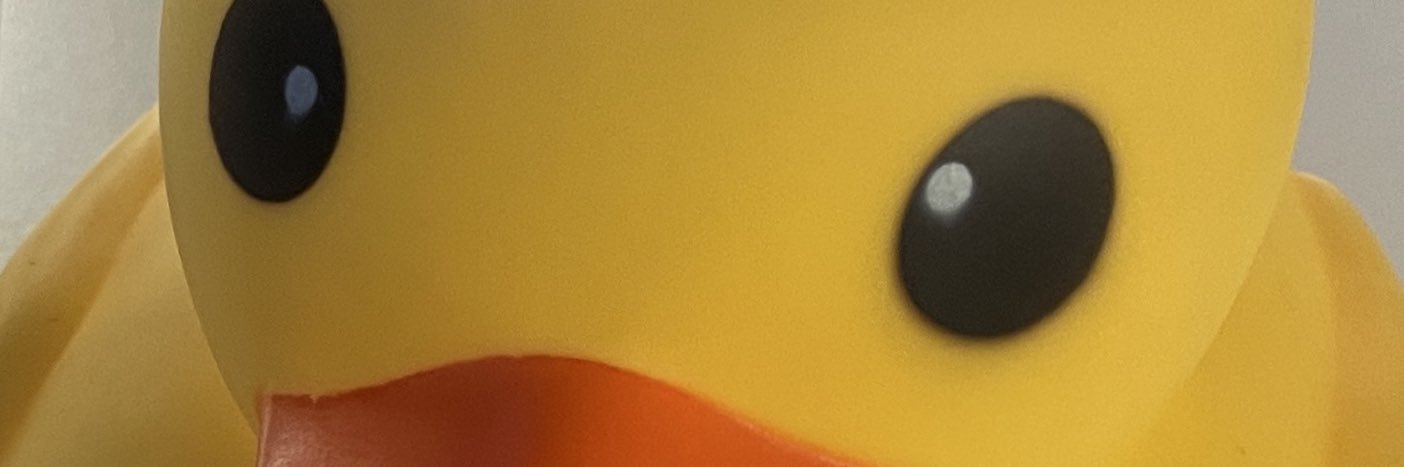 duck banner