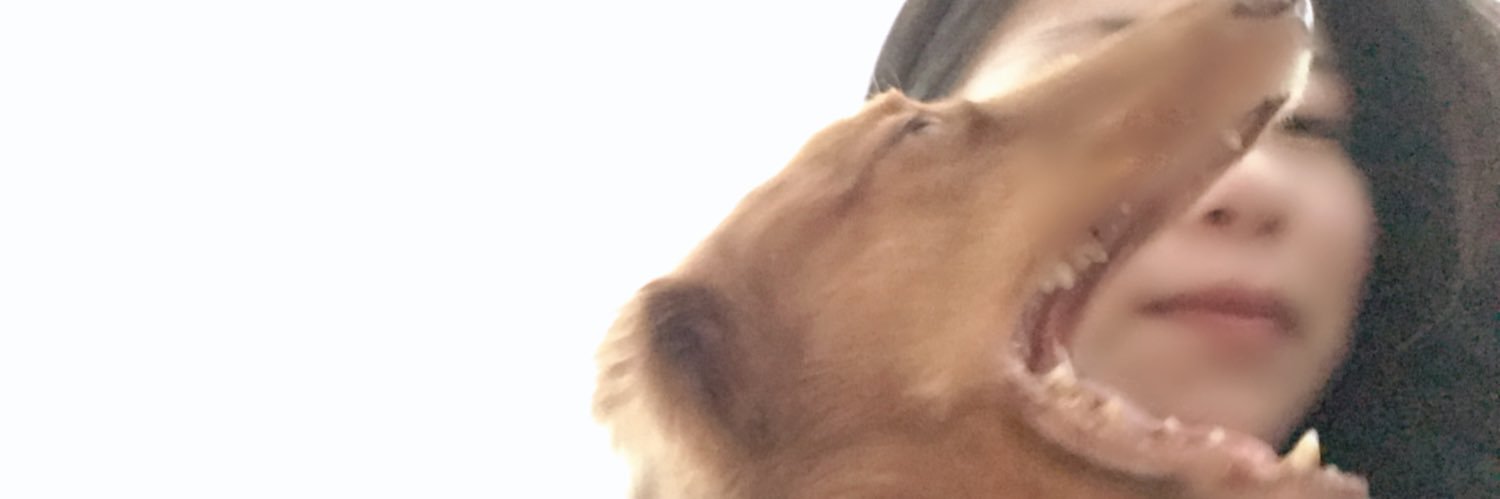 S__ars__ho's profile banner image