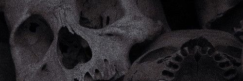 Alexandra banner