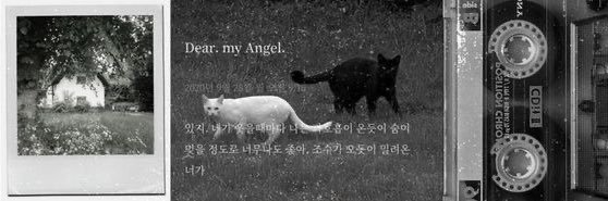 ★ banner