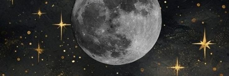 MessyFangz's profile banner image