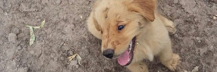 DoloAcosta's profile banner image