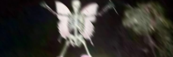 _obsidianmuse's profile banner image