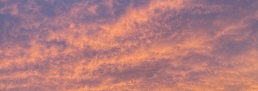 BullishBabeee's profile banner image