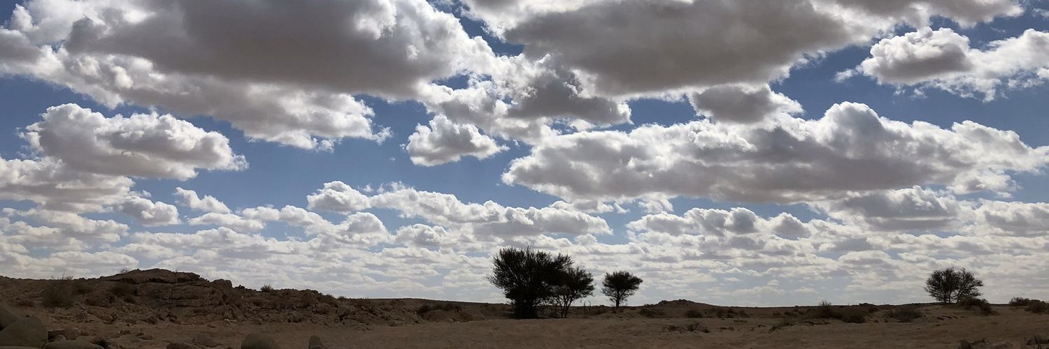محمد السهلي banner