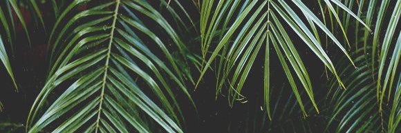 You_liarr's profile banner image