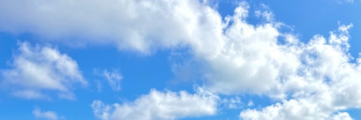 ぴょん banner