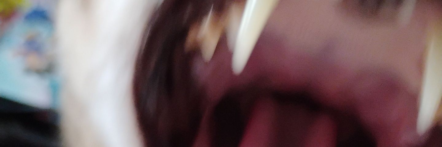 corndogen's profile banner image