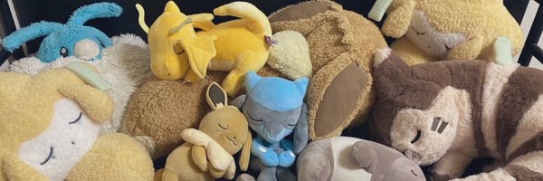 pkyn_n Profile Banner
