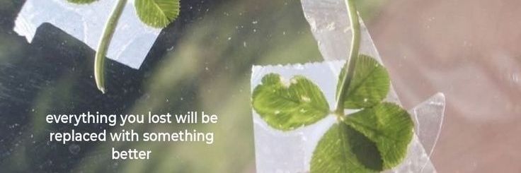 abill | bluelips banner