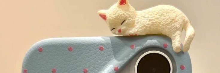 SofiaTrendyy's profile banner image