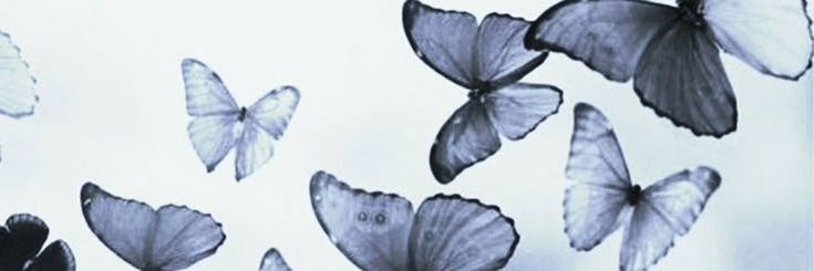 _AaliyahFitz's profile banner image