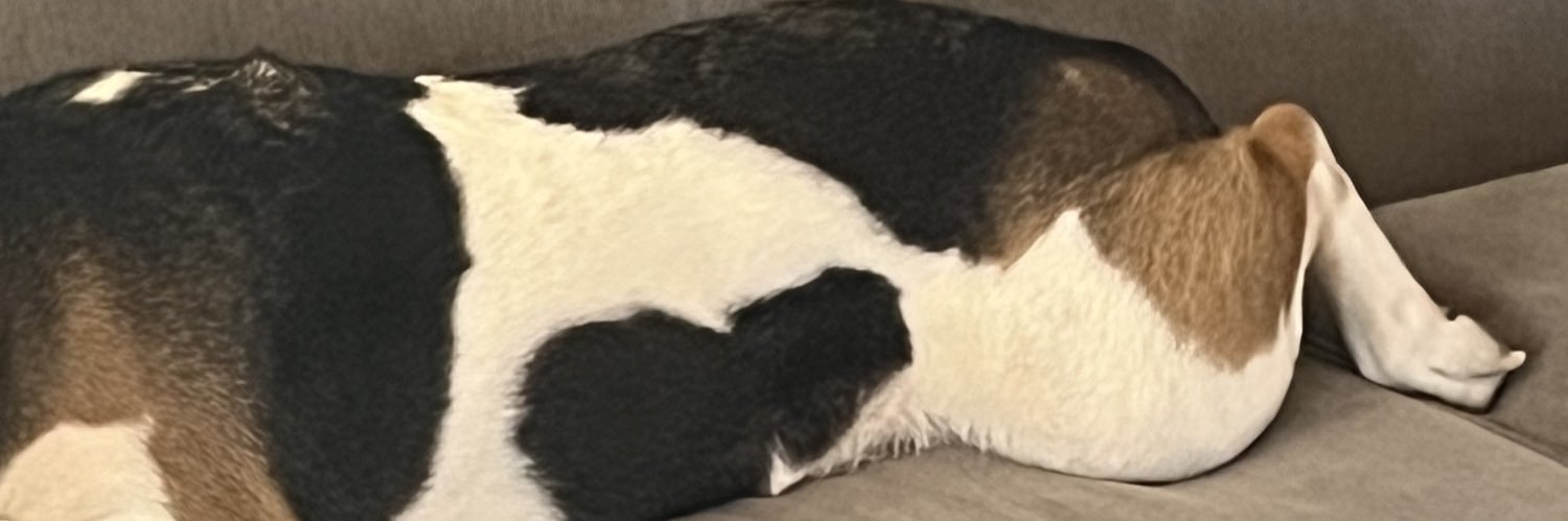 Dizmologist's profile banner image