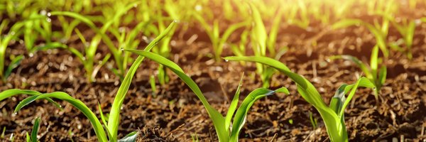 ClimateKIC_Hu Profile Banner