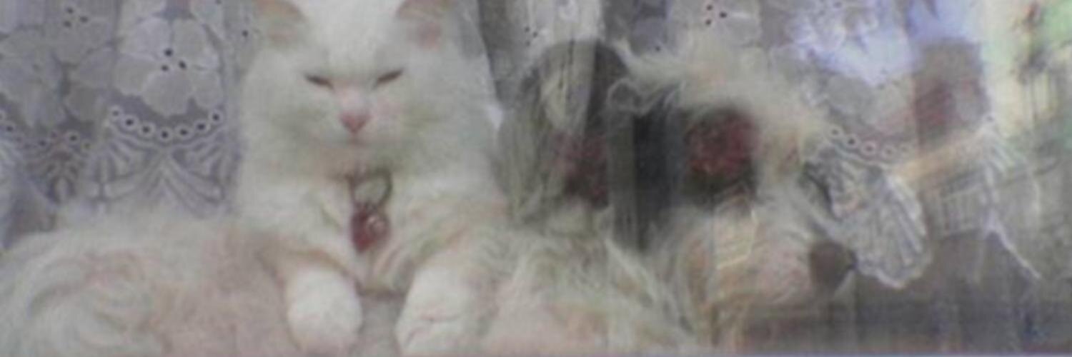 Alone_Wolf65's profile banner image