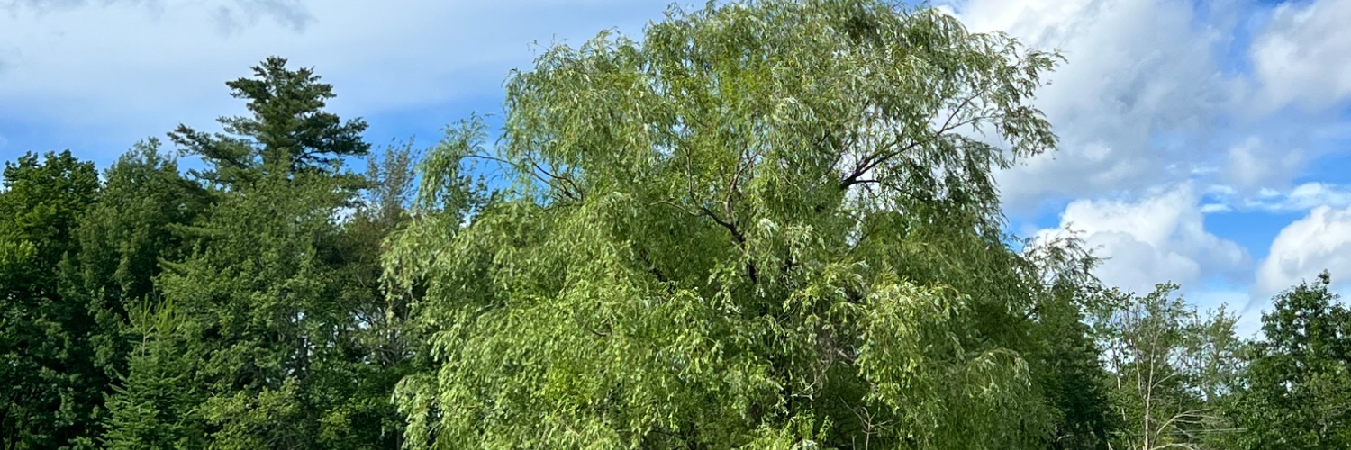 MNCHeard's profile banner image