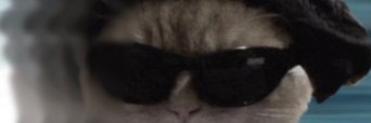 DEVious banner