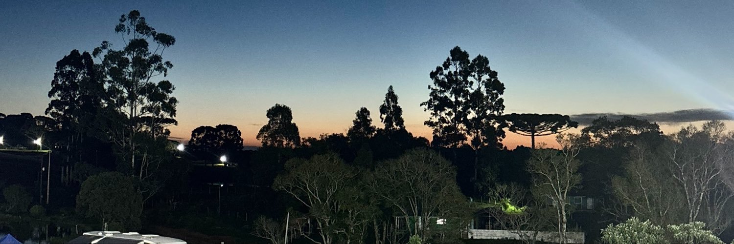 silvntszz's profile banner image