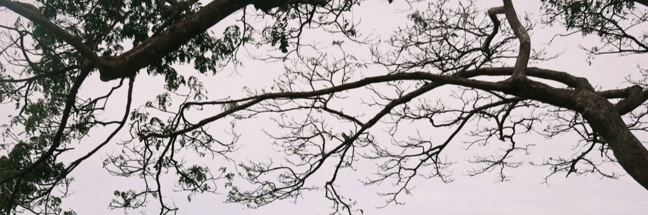 luvnabil's profile banner image