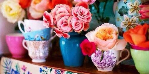 asma_3bed's profile banner image