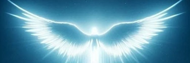Wisdom777 banner