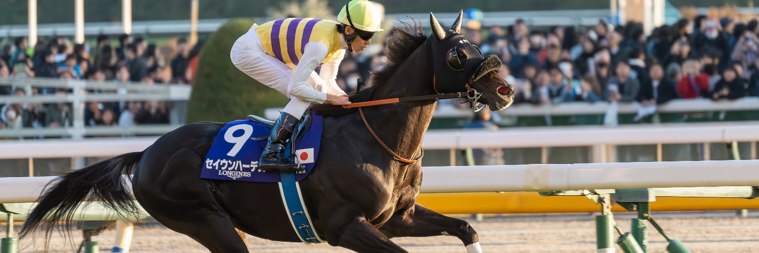 りょす🏇📷 banner