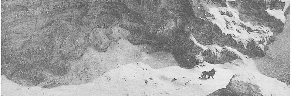 Mountain Mind banner