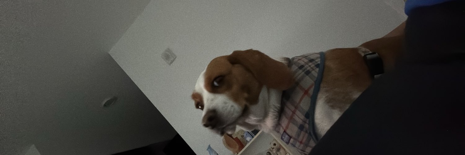 openyouremail's profile banner image