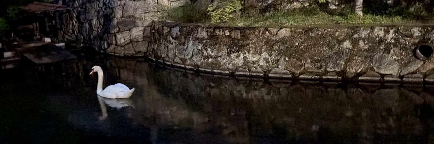 moguche23's profile banner image