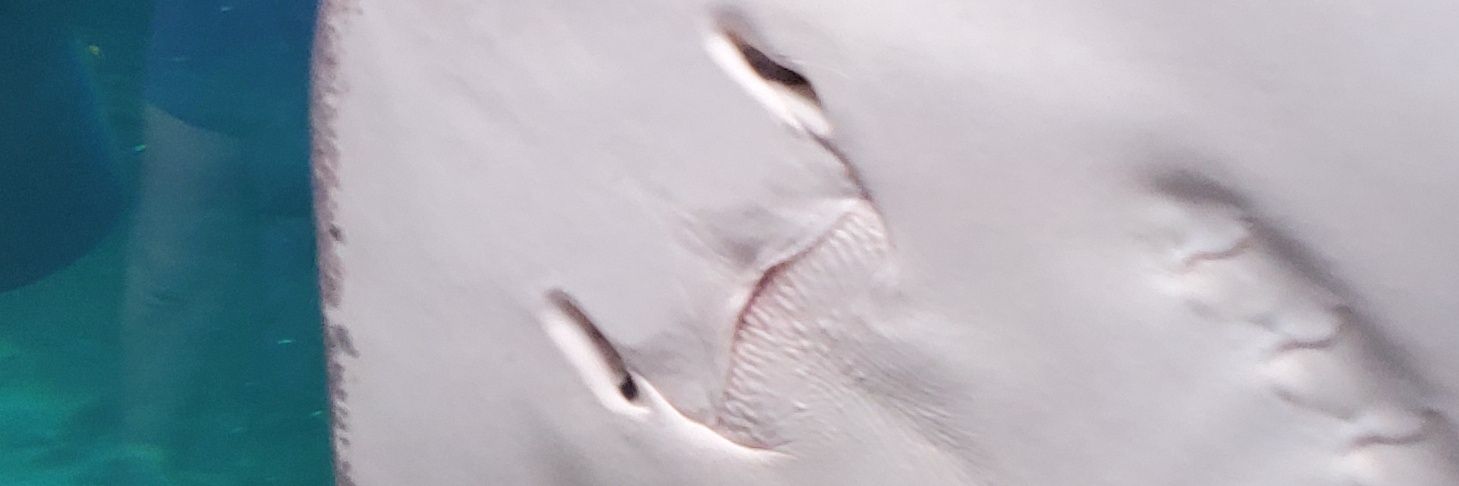 Johnathan M Back banner