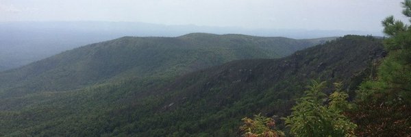 abiscuit Profile Banner