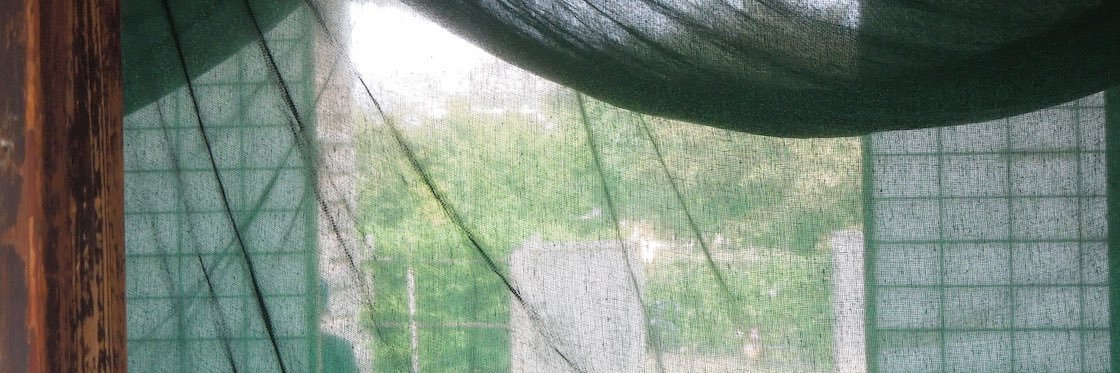 xyFpOUMCTc25860's profile banner image
