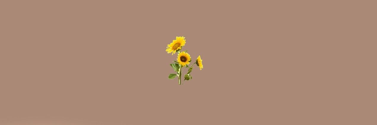 justhemoon_'s profile banner image