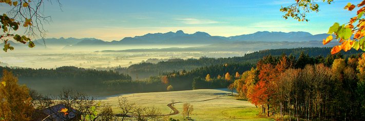 Die Kämpferin für Gerechtigkeit banner