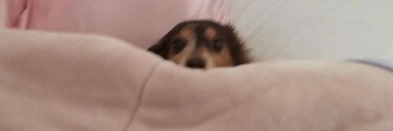 Br33z3_Jr's profile banner image