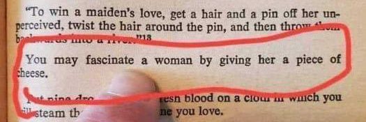 Colleen Lindström banner