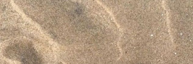 Sore Taurus banner