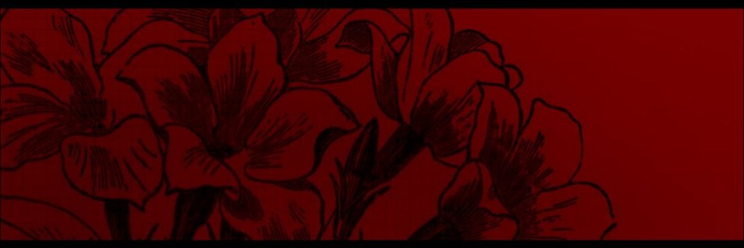 LadyNocturneVA's profile banner image