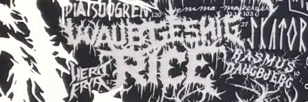 waub's profile banner image