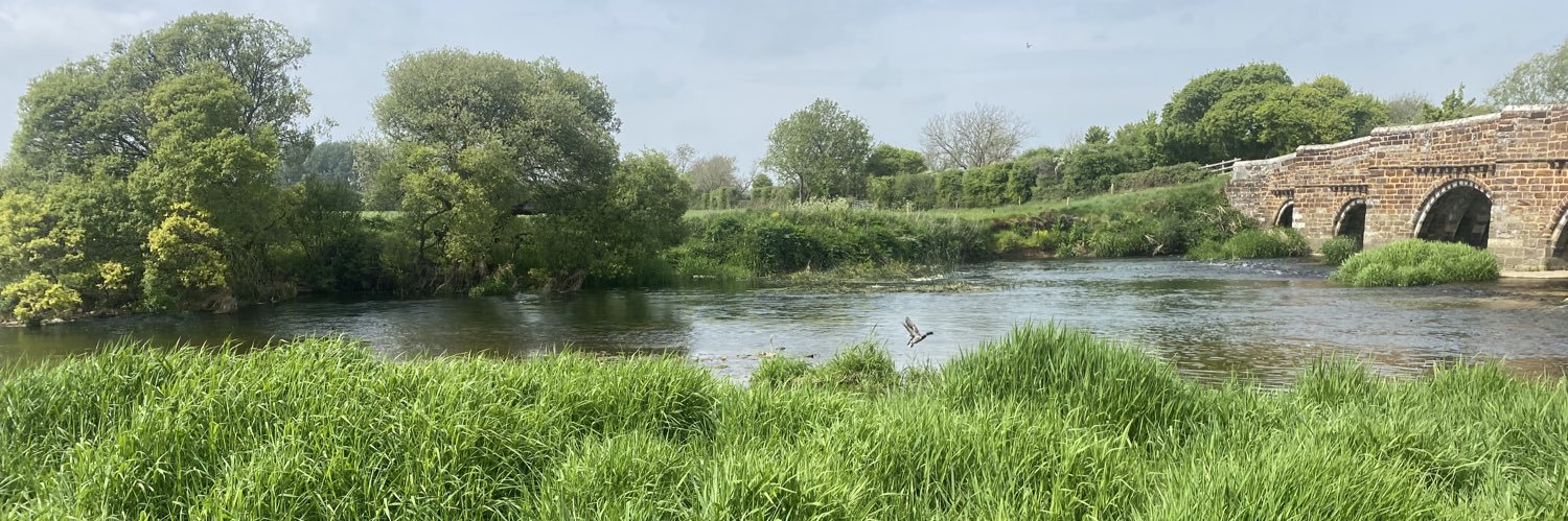 Prof Simon Gibbons banner