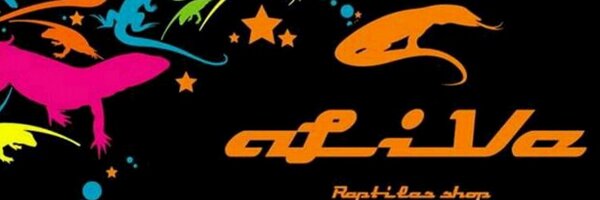 aliveKojima Profile Banner