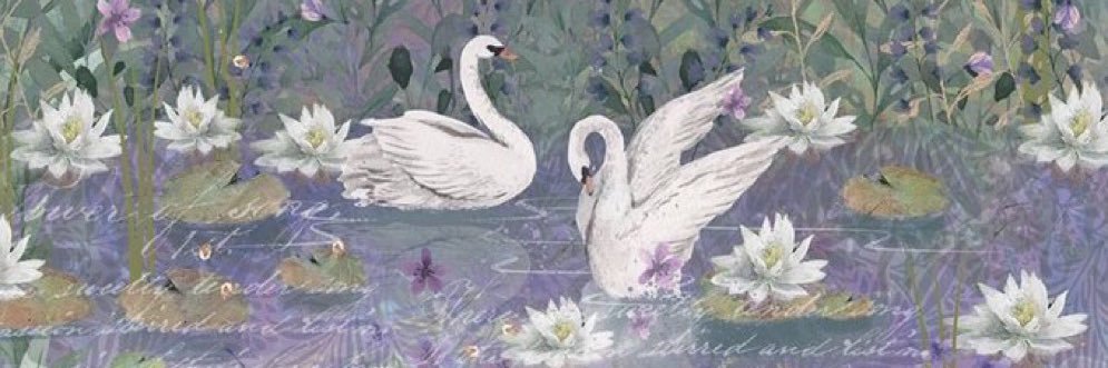 🦢 banner