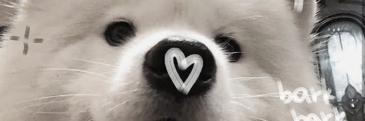 P9Dsw's profile banner image