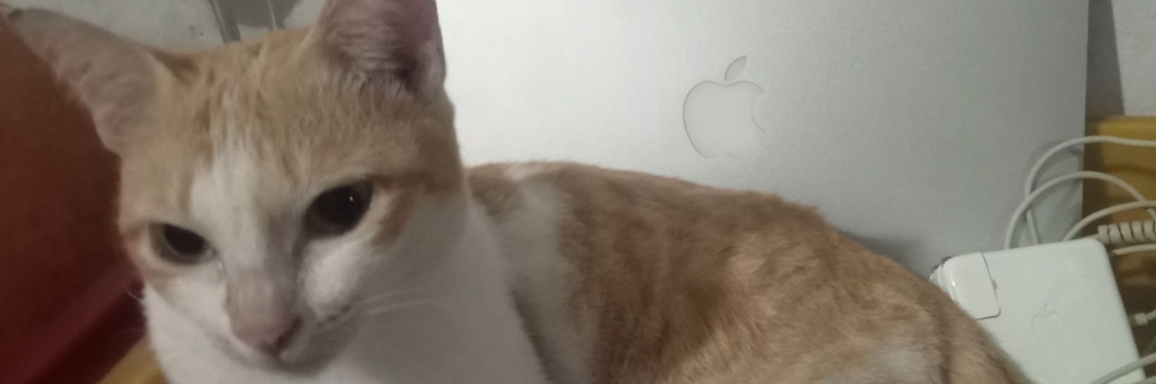 ofthelightdown's profile banner image