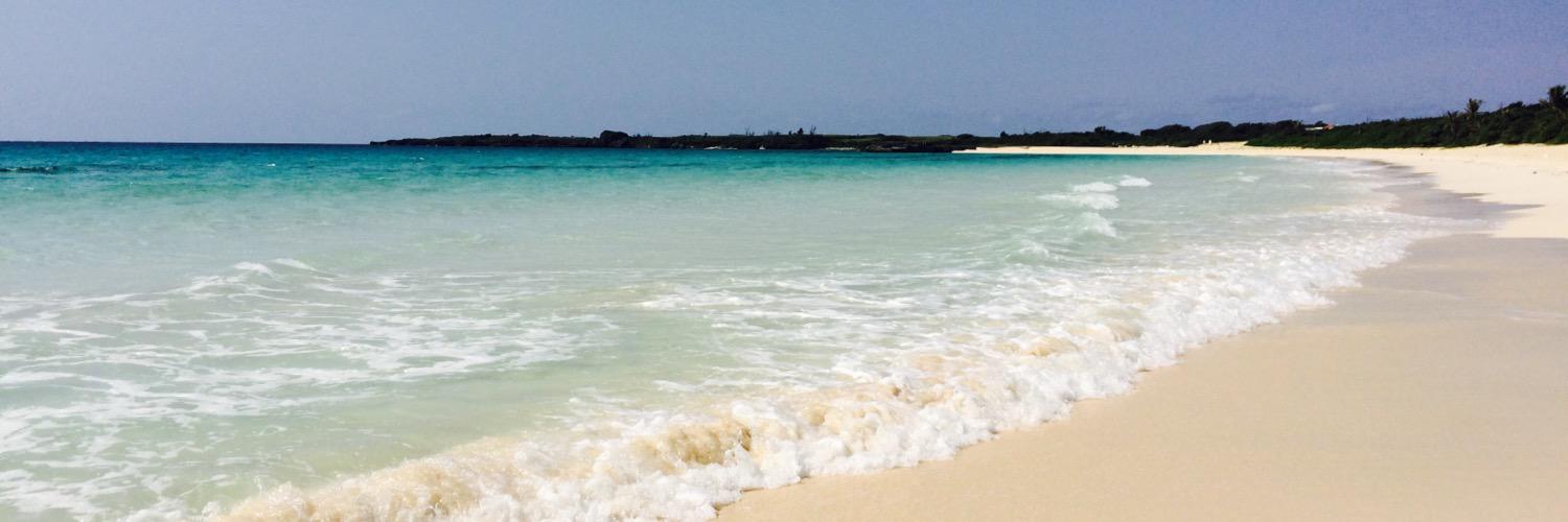 べべのき banner