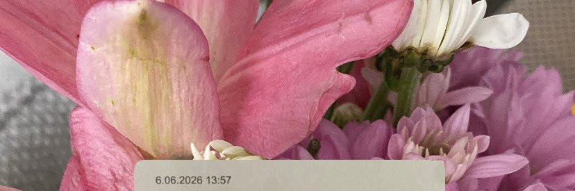 viitsiimaa's profile banner image