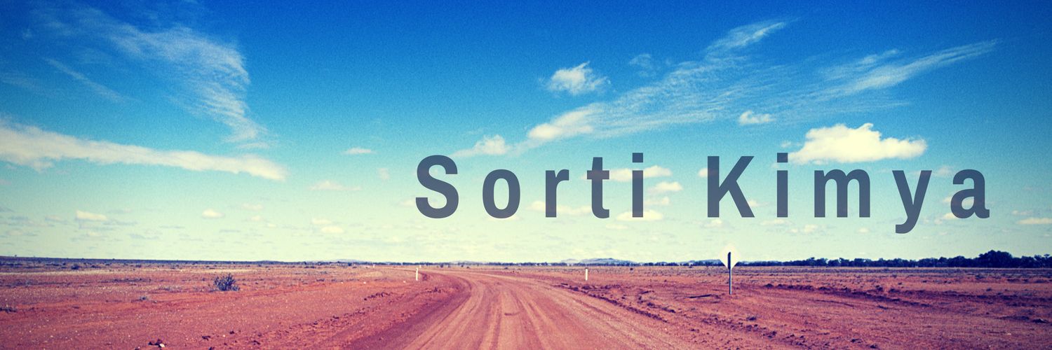 SortiKimya's profile banner image